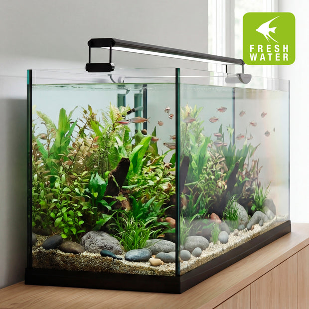 Lâmpada AQ-LUX FRESH