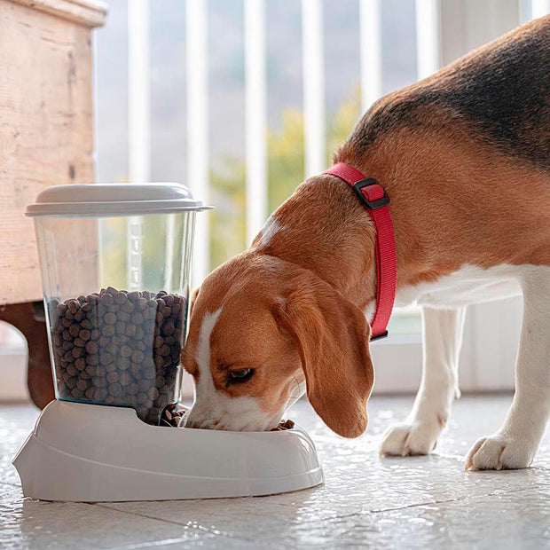喂食器