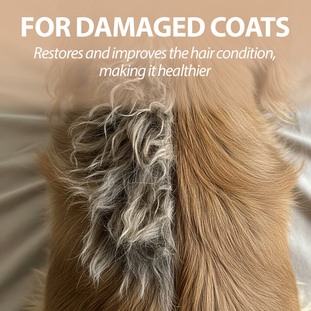 SHAMPOO PARA CÃES NATURÉ COM ARGILA VERDE