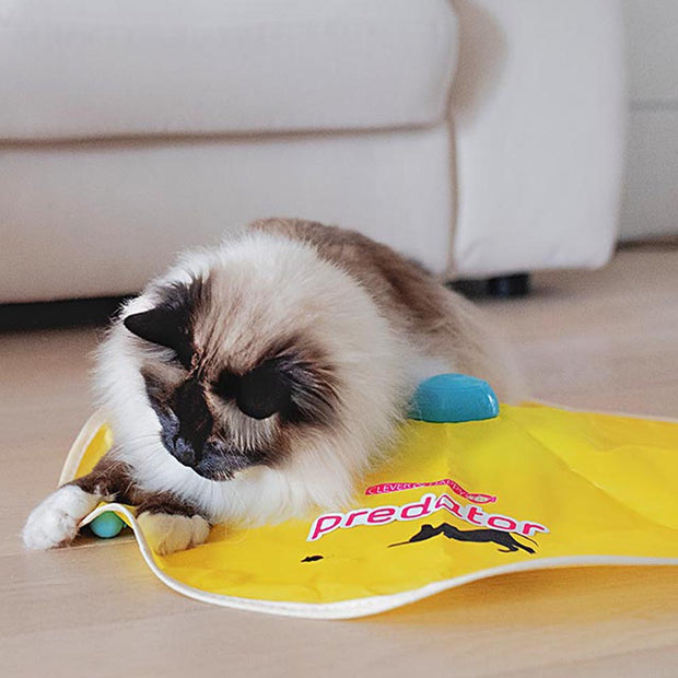 捕食者电动猫玩具