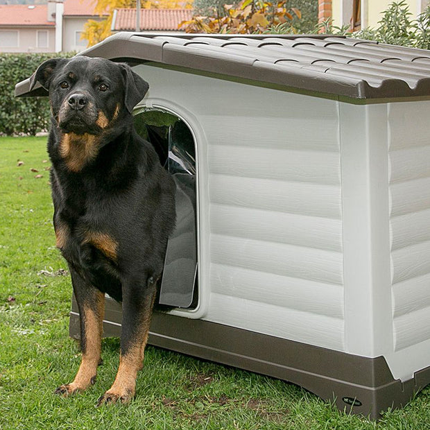 Porta para Dogvilla