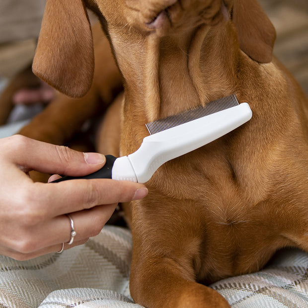 宠物梳