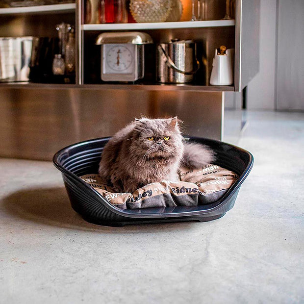 SIESTA DELUXE
