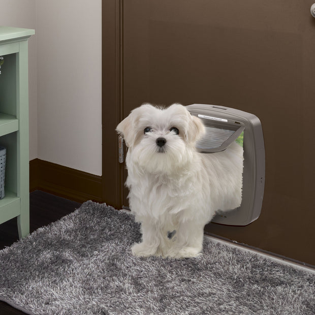 SWING MICROCHIP LARGE