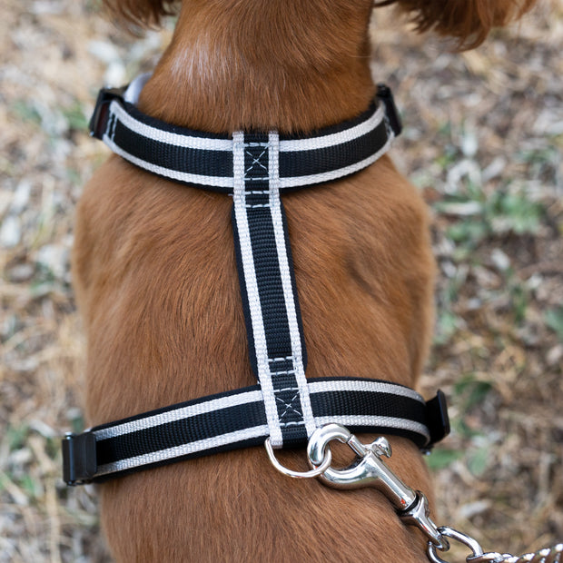 ERGOCOMFORT METAL GM