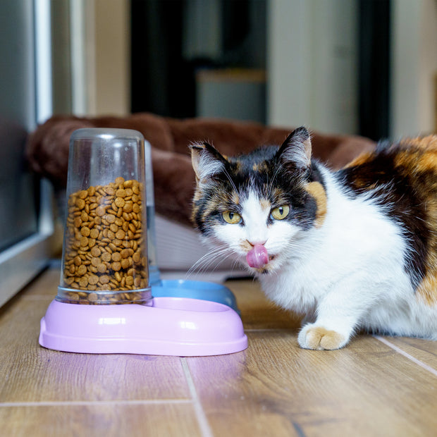 阿兹慕两用喂水器