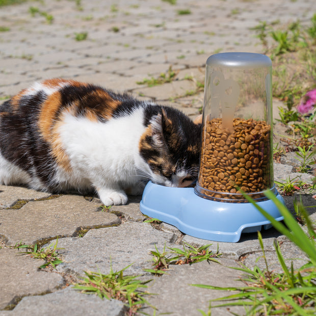 阿兹慕两用喂水器