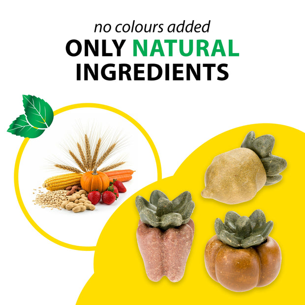 VEGGIE BITES LEGUMES