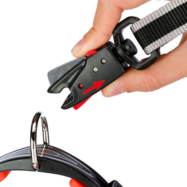 TWIST GM 狗牵引绳