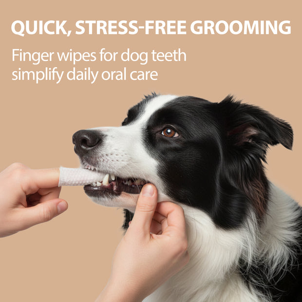 DISPOSABLE DENTAL  FINGER PADS FOR DOGS AND CATS NATURÉ (x50)