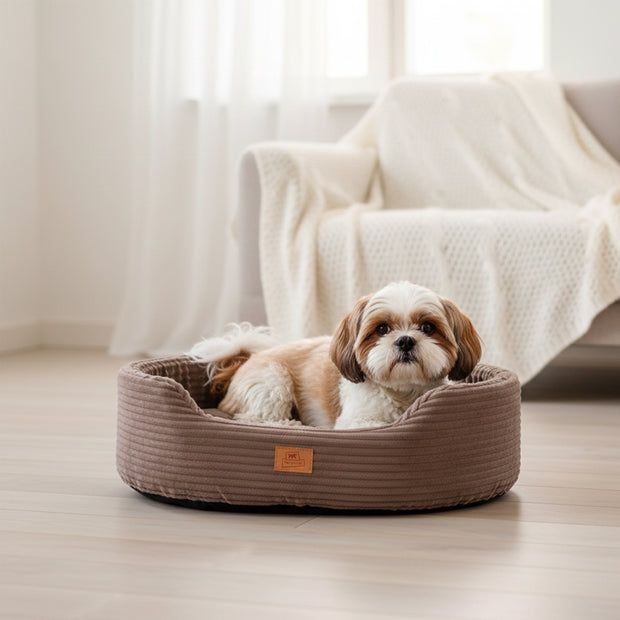 DANDY CORDUROY Cama tipo sofá com almofada removível para cães e gatos