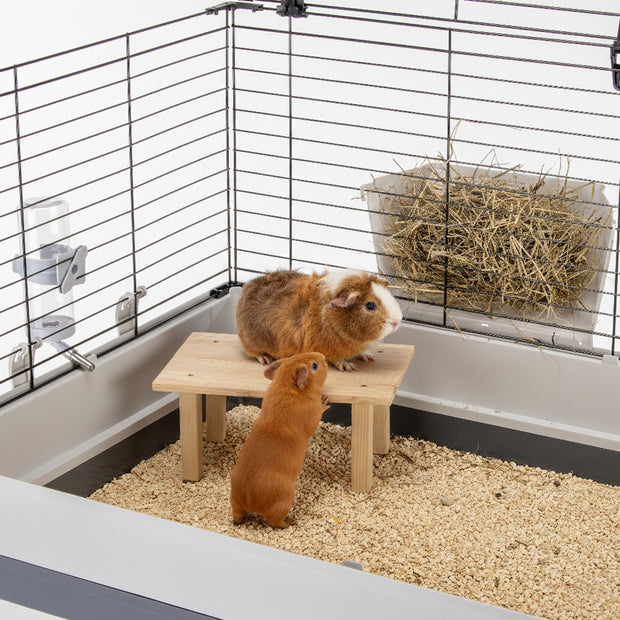 ARCADE TABLE Wooden toy for small animals