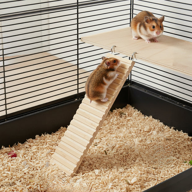 ARCADE LADDER Wooden toy for hamsters and small animals