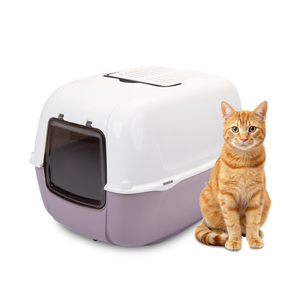 基础款猫厕