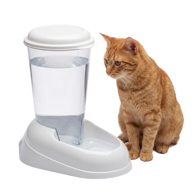 喂水器