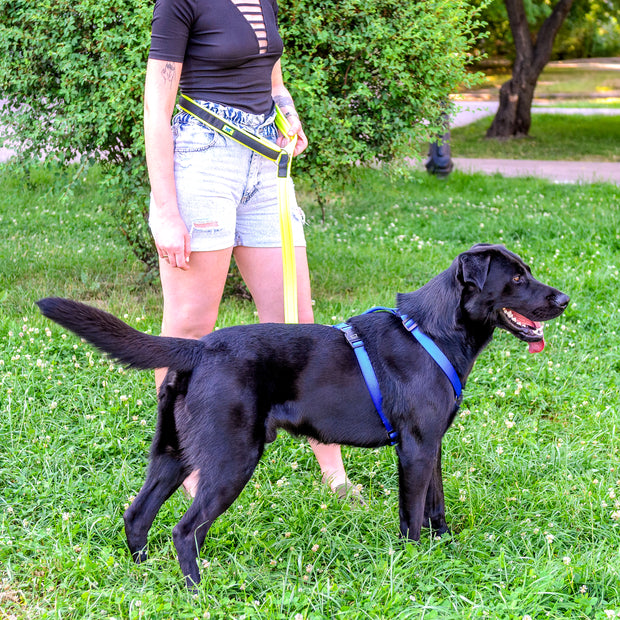 ERGOFLUO GA