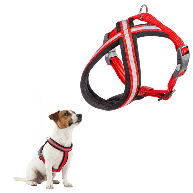 DAYTONA P CROSS