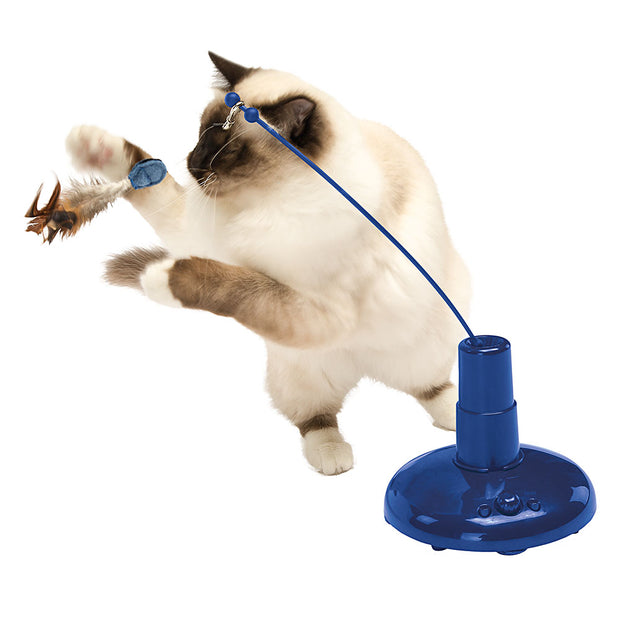 猛禽电动猫玩具