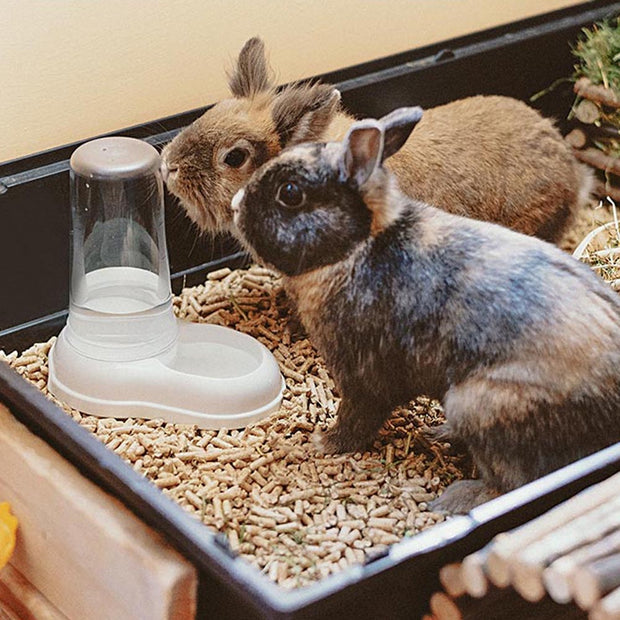 阿兹慕两用喂水器