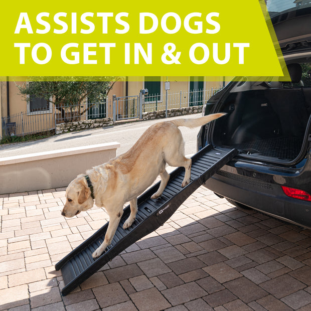 DOG RAMP