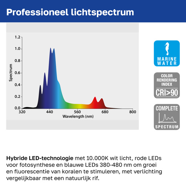 Lâmpada AQ-LUX REEF