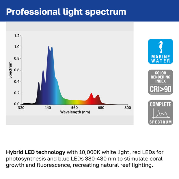 Lâmpada AQ-LUX REEF