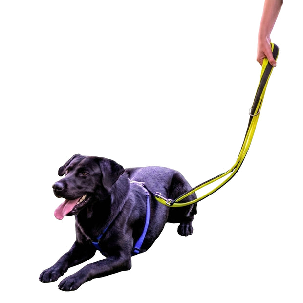 ERGOFLUO GA