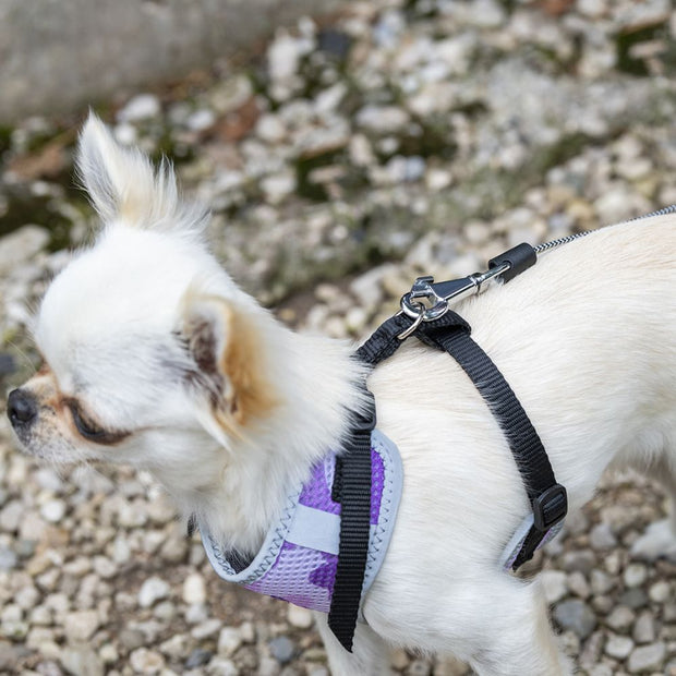 FLIPPY ONE圆绳型迷你号