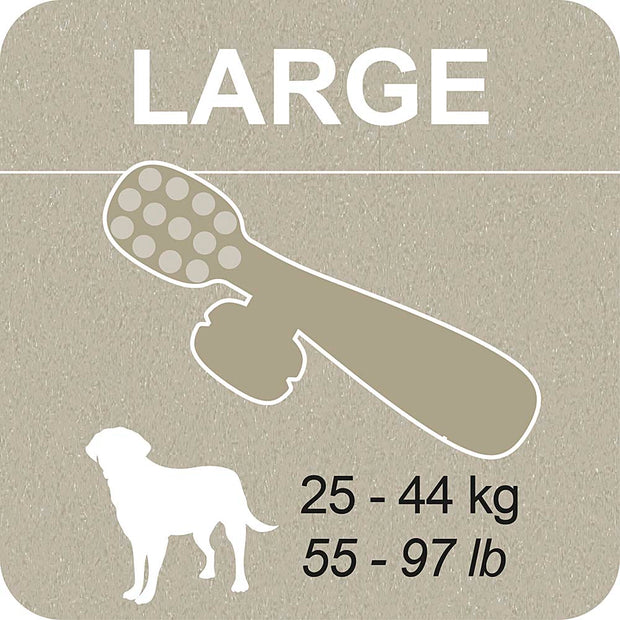 100% SNACK FILLABLE -  TOOTHBRUSH ASCOPHILLUM