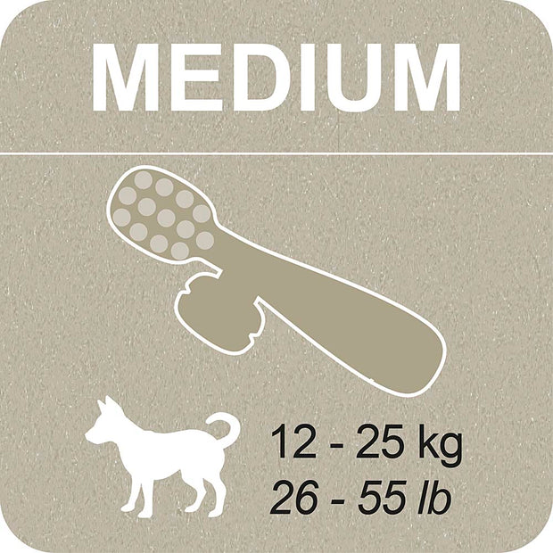 100% SNACK FILLABLE -  TOOTHBRUSH ASCOPHILLUM