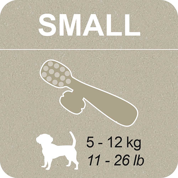 100% SNACK RELLENABLES -  TOOTHBRUSH ASCOPHILLUM