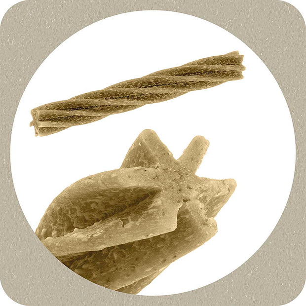 100% SNACK BASTÕES - FUSILLI ASCOPHILLUM