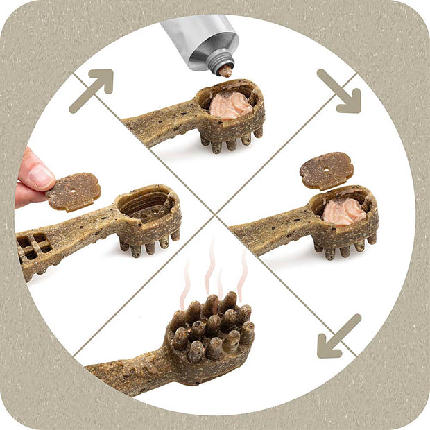 100% SNACK RELLENABLES -  TOOTHBRUSH ASCOPHILLUM