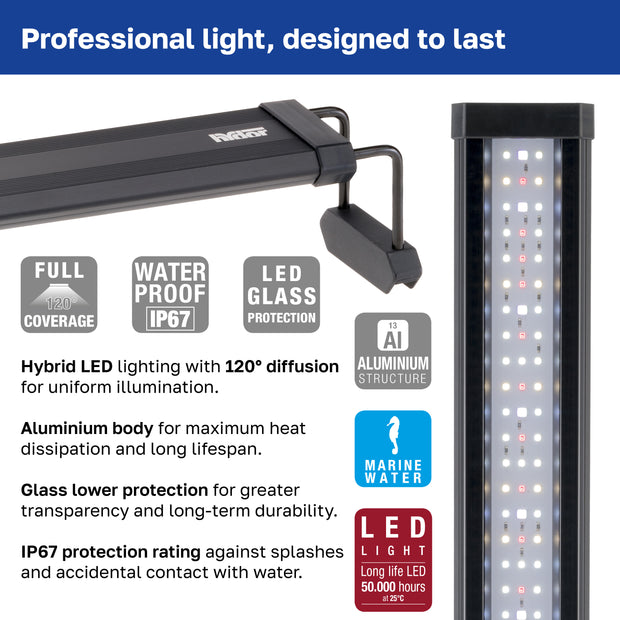 Lâmpada AQ-LUX REEF