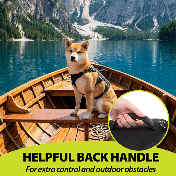 ERGOTREKKING