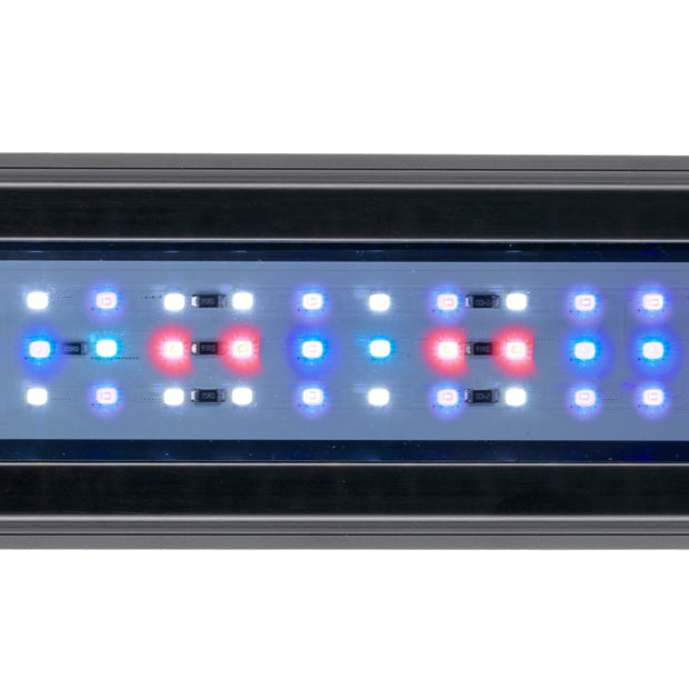 Lâmpada AQ-LUX REEF