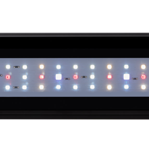 Lâmpada AQ-LUX FRESH