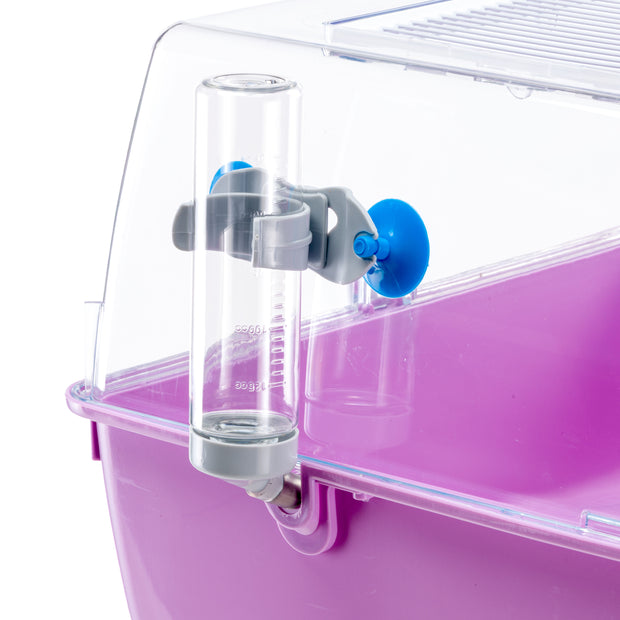 MINI DUNA HAMSTER