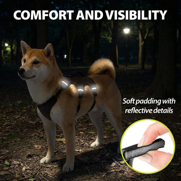 ERGOTREKKING