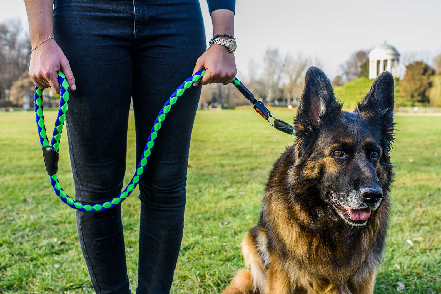 Pet Supplies | Pet Accessories: visit our online shop - Ferplast